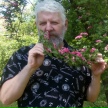Feedback author photo